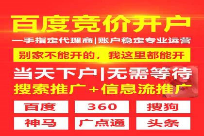 SEM公司案例分享：优化效果与转化率提升策略