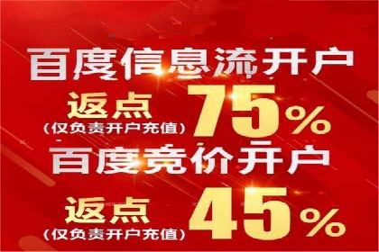 关键词竞价排名策略：成功企业的案例分析